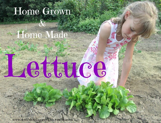 Lettuce: Home Grown & Home Made series from Dot-to-Dot Connections