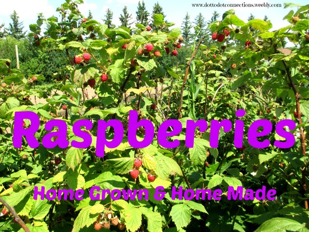 Raspberries: Home Grown & Home Made from Dot-to-Dot Connections